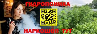 Альфа ПВП Дубна
