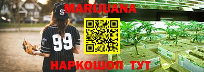 Альфа ПВП Дубна