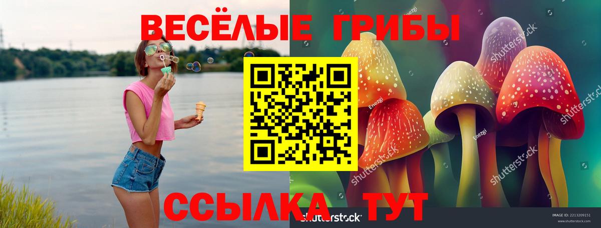 Псилоцибиновые грибы Psilocybe  Галлюциногенные грибы прущие грибы  Минусинск  Вход с VPN 